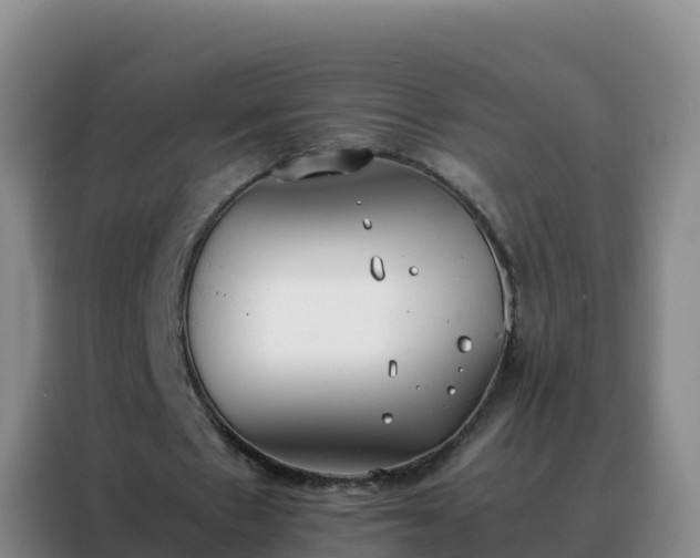 X0000088150481200705211159