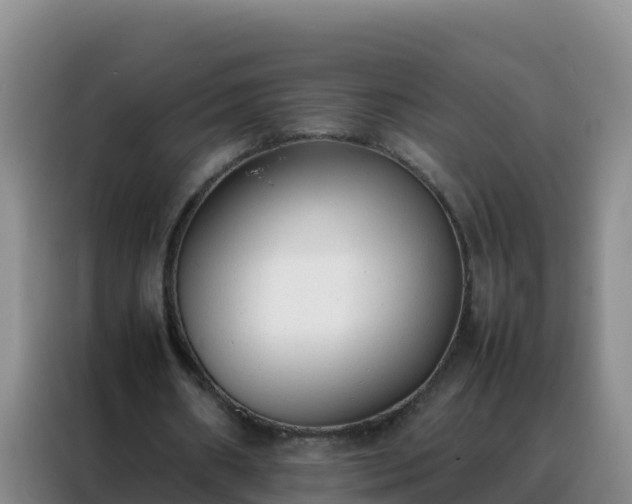 X0000088150482200705211159