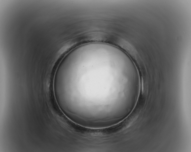 X0000088150483200705211159