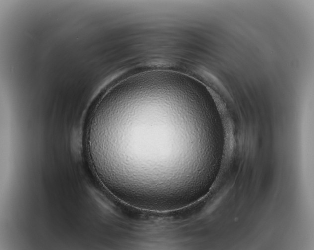 X0000088150484200705211159