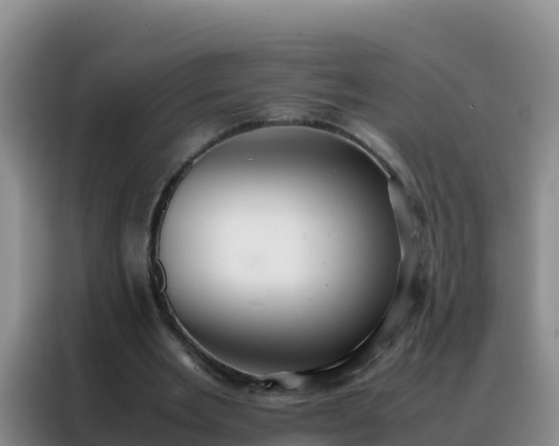 X0000088150485200705211159