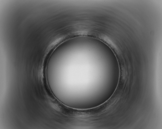 X0000088150486200705211159