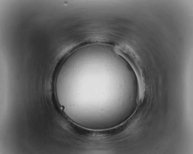 X0000088150487200705211159