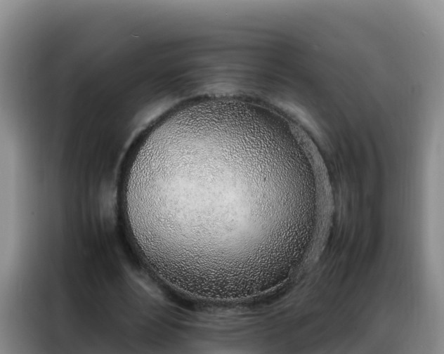 X0000088150488200705211159