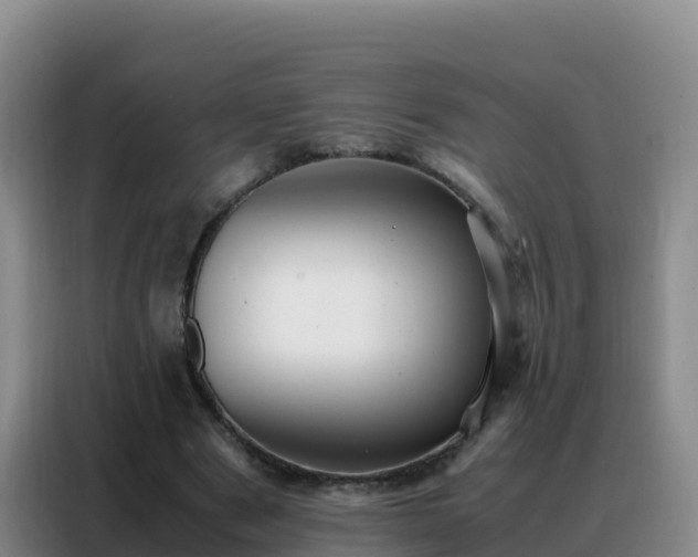 X0000088150489200705211159