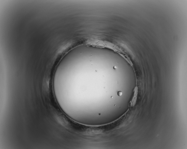 X0000088150491200705211159