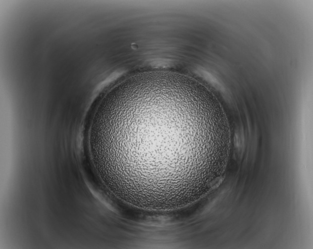 X0000088150492200705211159