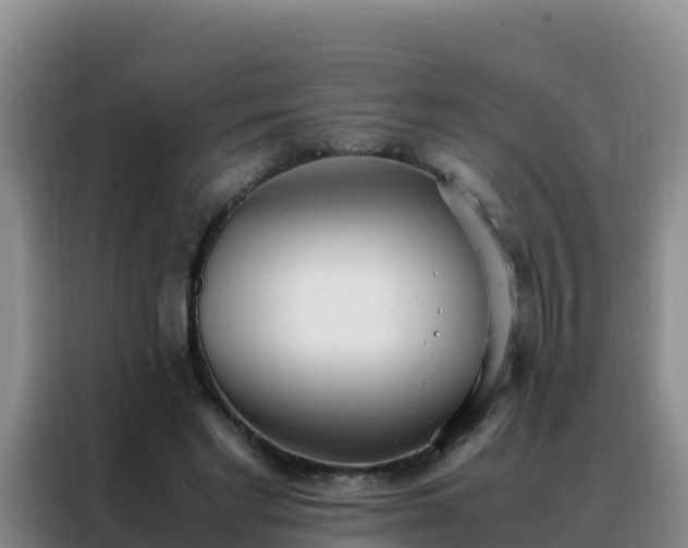 X0000088150493200705211159