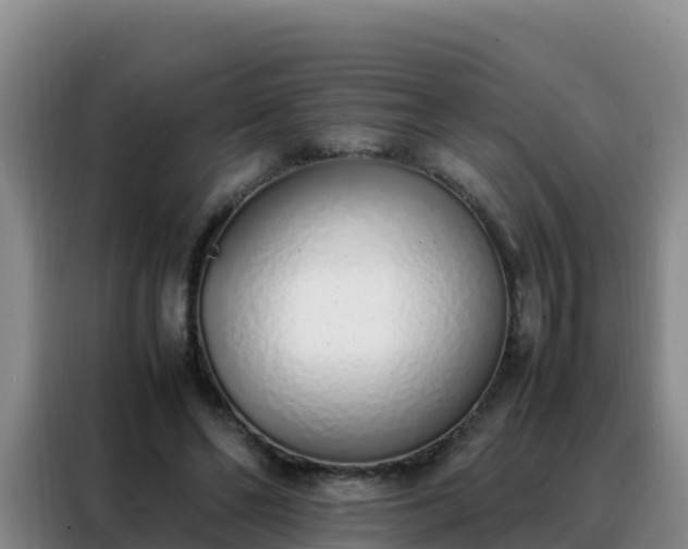 X0000088150494200705211159