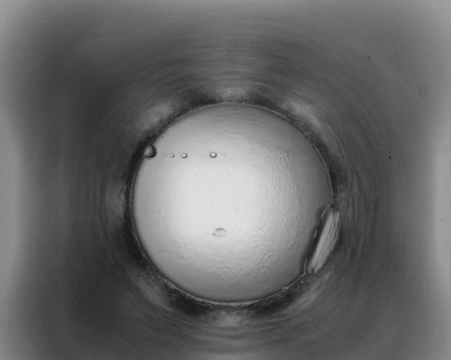 X0000088150495200705211159