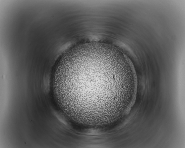 X0000088150496200705211159