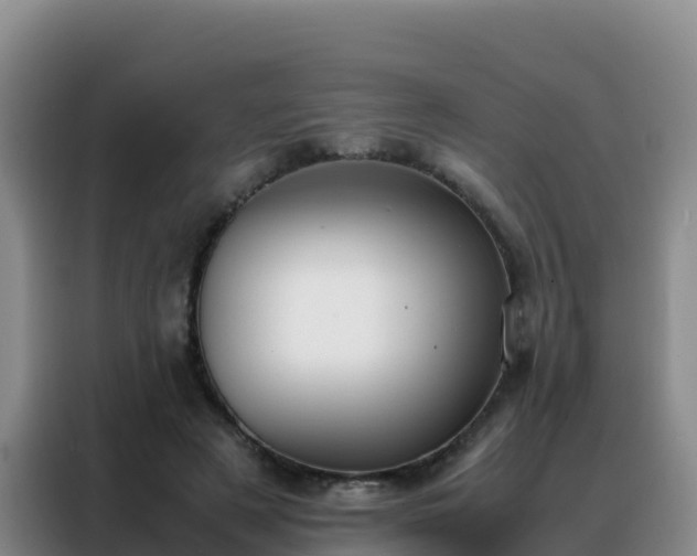 X0000088150497200705211159