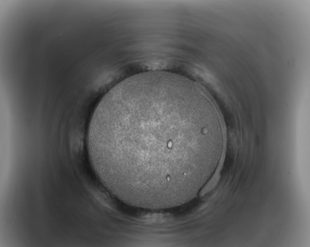 X0000088150499200705211159