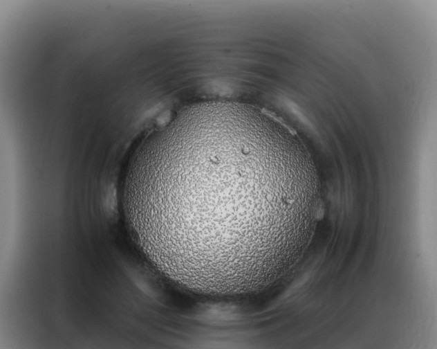 X0000088150500200705211159