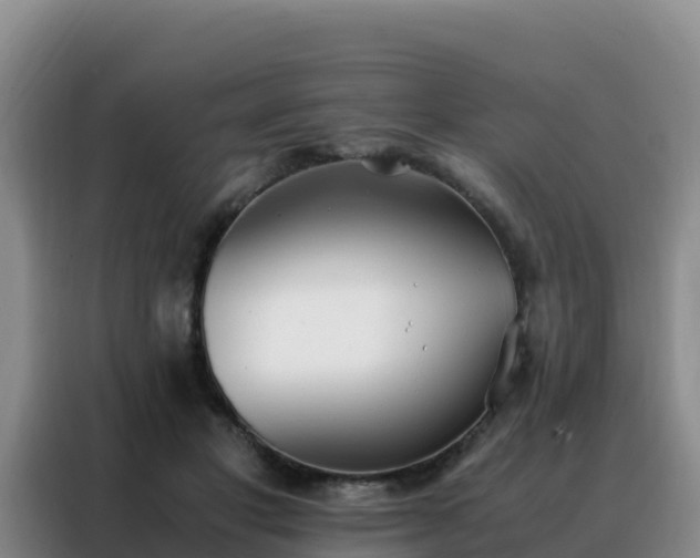 X0000088150501200705211159