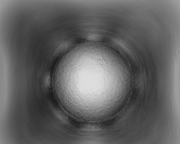 X0000088150502200705211159