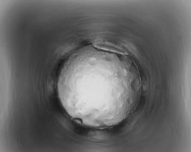 X0000088150503200705211159