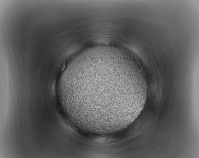 X0000088150504200705211159