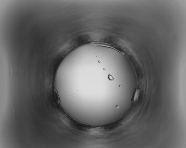 X0000088150505200705211159