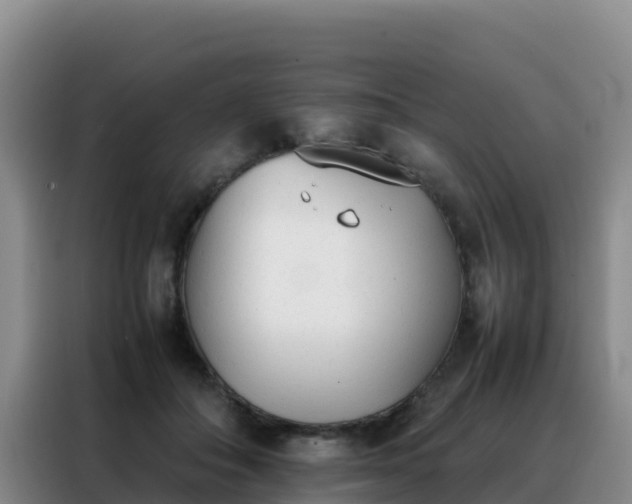 X0000088150506200705211159