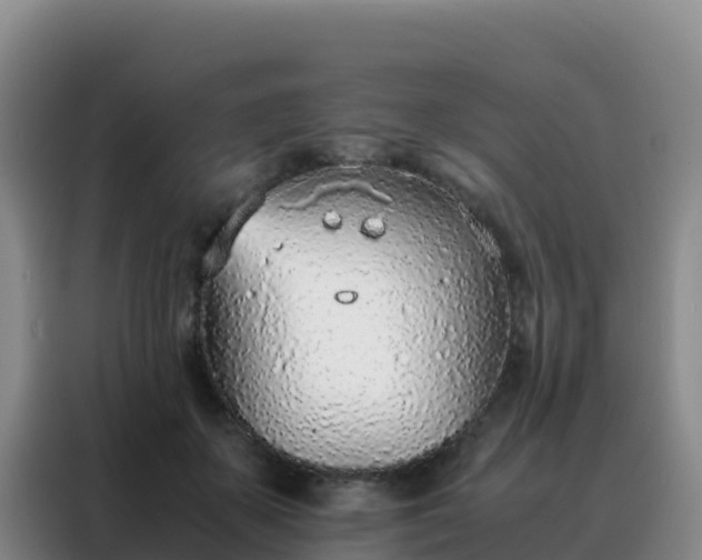 X0000088150507200705211159