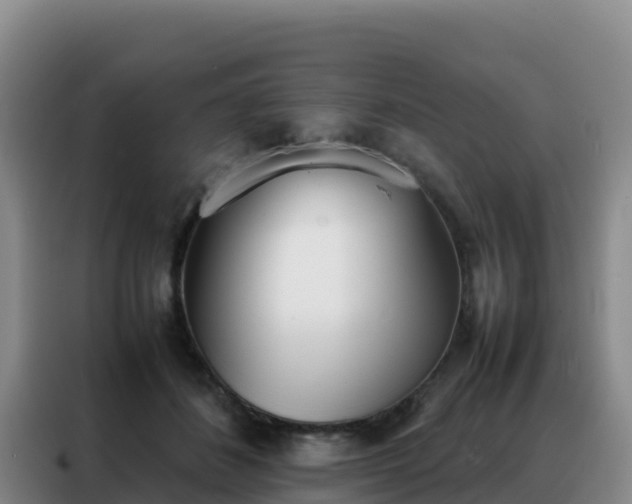 X0000088150508200705211159