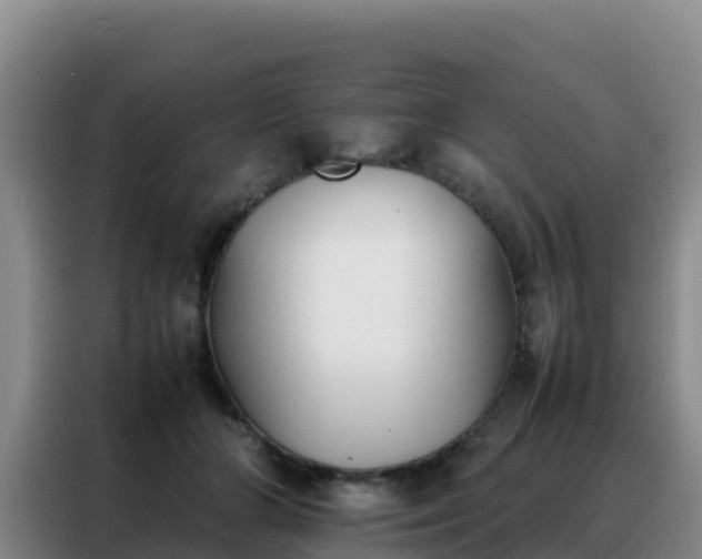 X0000088150510200705211159