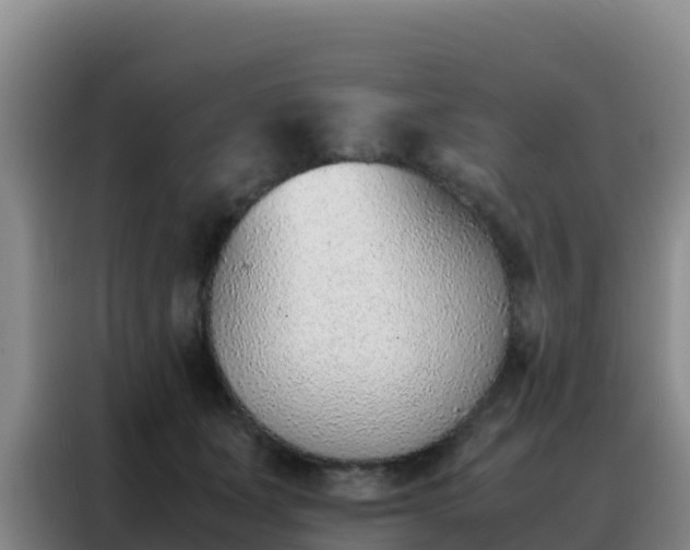 X0000088150511200705211159