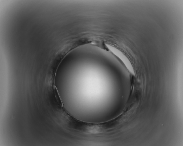 X0000088150513200705211159