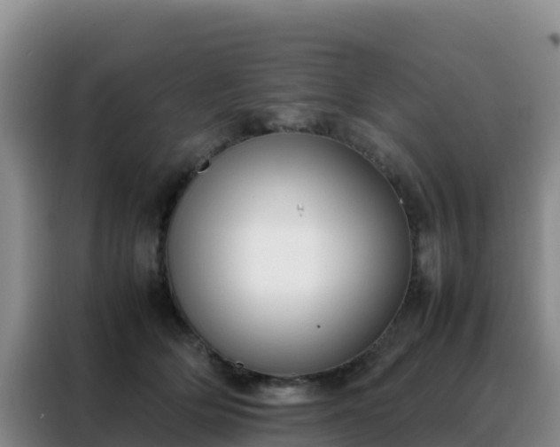 X0000088150514200705211159