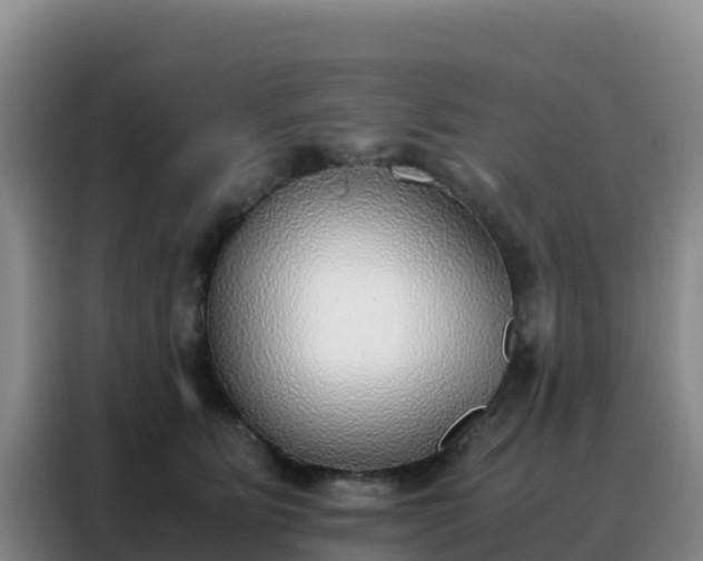 X0000088150515200705211159