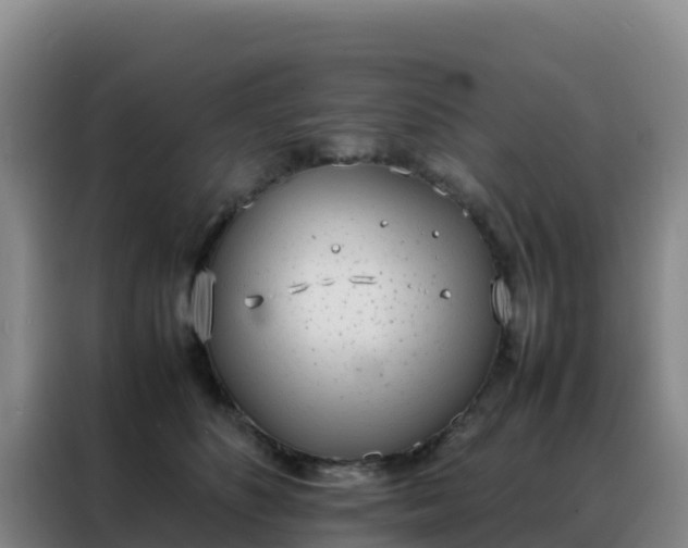 X0000088150516200705211159