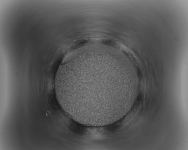 X0000088150517200705211159