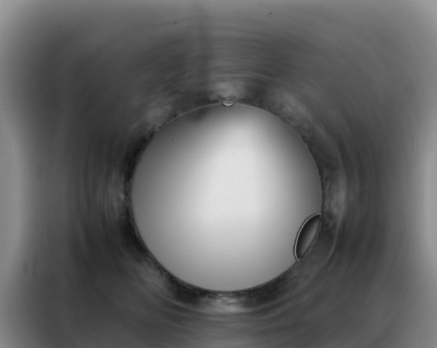 X0000088150518200705211159