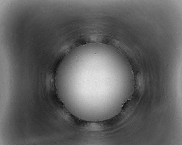 X0000088150522200705211159