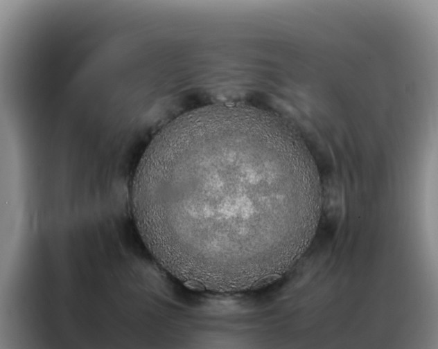 X0000088150523200705211159