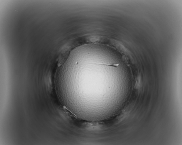 X0000088150524200705211159