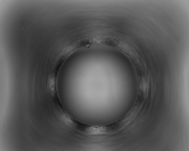 X0000088150526200705211158