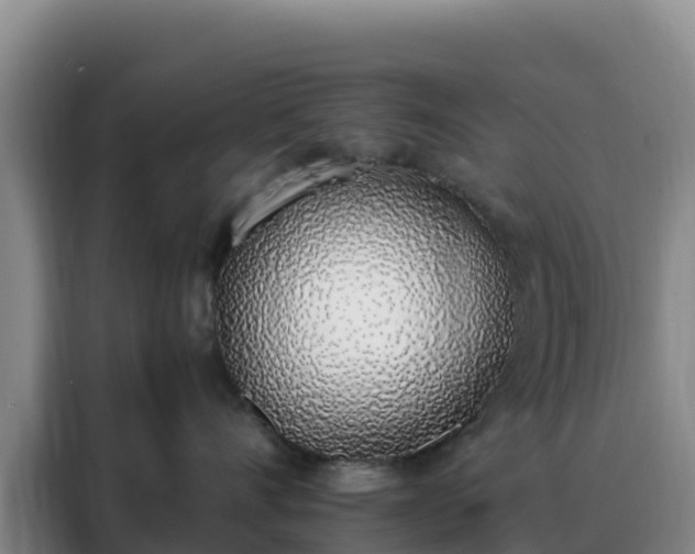 X0000088150528200705211158