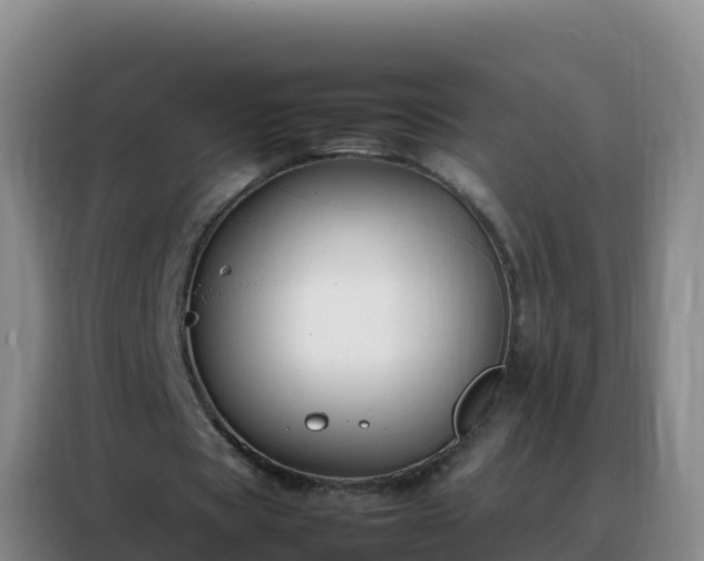 X0000088150529200705211158