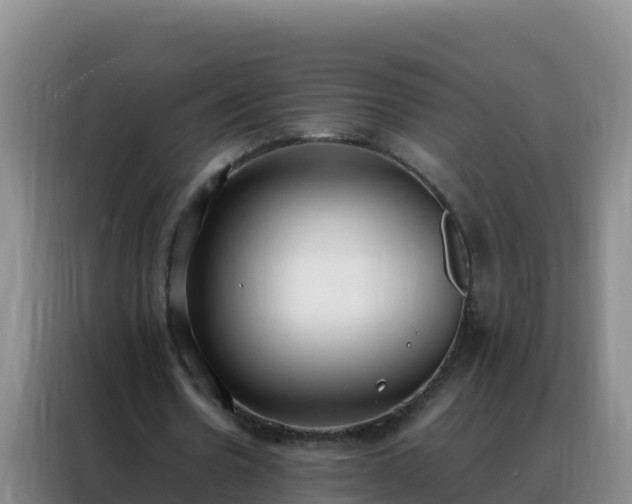 X0000088150530200705211158