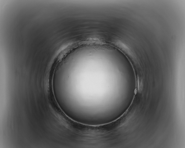 X0000088150531200705211158