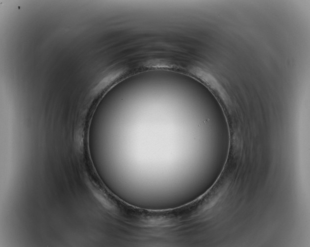 X0000088150533200705211158