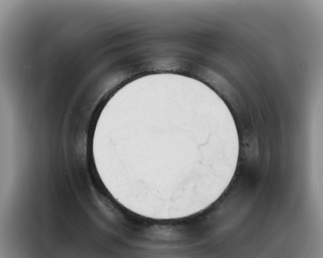 X0000088150534200705211158