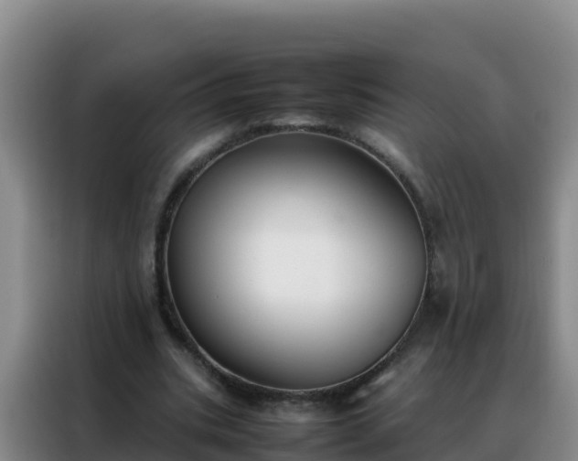 X0000088150535200705211158