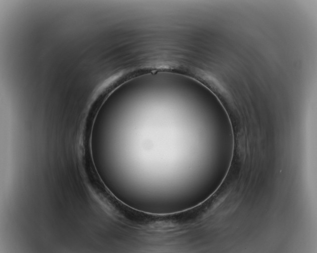 X0000088150536200705211158