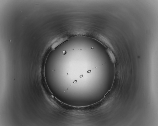 X0000088150538200705211158