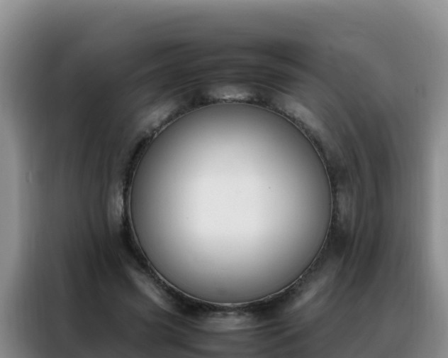 X0000088150541200705211158