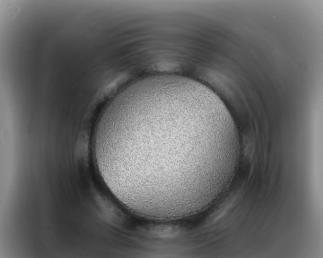 X0000088150542200705211158