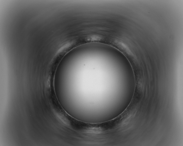 X0000088150543200705211158